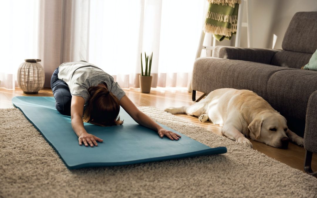 Simple Tips to Get Your Lazy Dog to Exercise