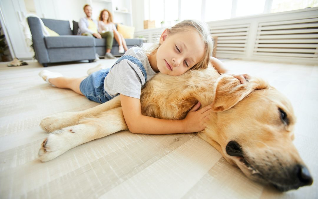 Four Things to Note Before Buying Your First Pet